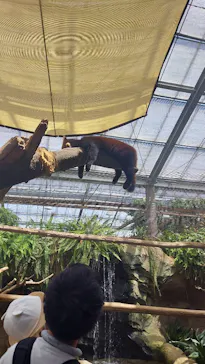 神戸どうぶつ王国に投稿された画像（2023/8/29）