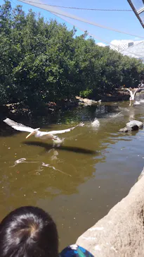 神戸どうぶつ王国に投稿された画像（2023/8/29）