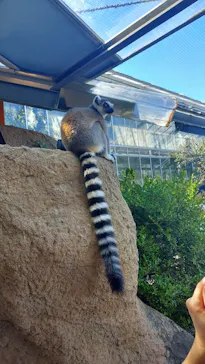 神戸どうぶつ王国に投稿された画像（2023/8/29）