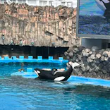名古屋港水族館に投稿された画像（2023/8/29）