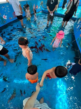 越前松島水族館に投稿された画像（2023/8/29）