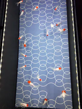 すみだ水族館に投稿された画像（2023/8/29）