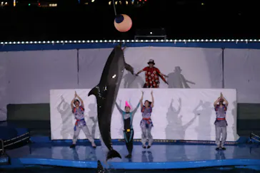 仙台うみの杜水族館に投稿された画像（2023/8/29）