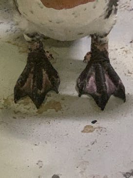 城崎マリンワールドに投稿された画像（2023/8/29）