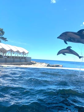 城崎マリンワールドに投稿された画像（2023/8/29）