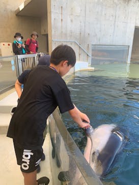 城崎マリンワールドに投稿された画像（2023/8/29）