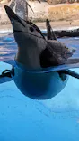 名古屋港水族館に投稿された画像（2023/8/29）
