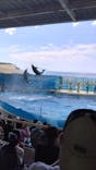 新江ノ島水族館に投稿された画像（2023/8/29）