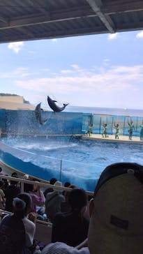 新江ノ島水族館に投稿された画像（2023/8/29）