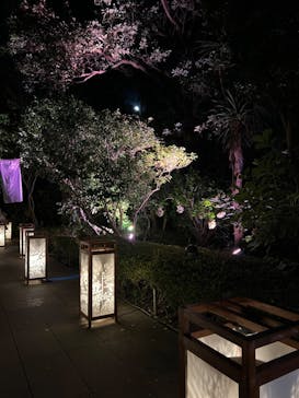 江の島シーキャンドルに投稿された画像（2023/8/29）