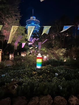 江の島シーキャンドルに投稿された画像（2023/8/29）