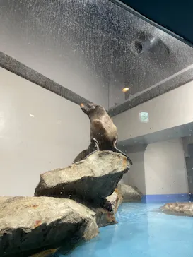 マクセル アクアパーク品川に投稿された画像（2023/8/29）