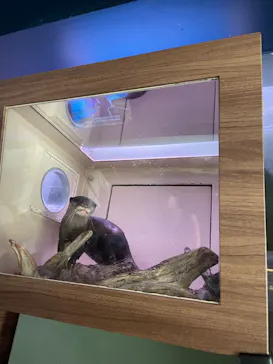 マクセル アクアパーク品川に投稿された画像（2023/8/29）