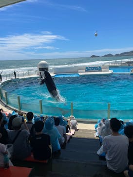 鴨川シーワールドに投稿された画像（2023/8/29）