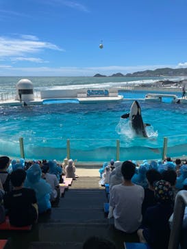 鴨川シーワールドに投稿された画像（2023/8/29）