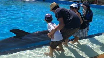 南知多ビーチランド＆南知多おもちゃ王国に投稿された画像（2023/8/29）