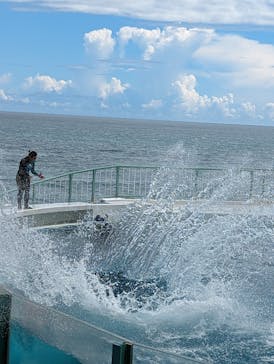 鴨川シーワールドに投稿された画像（2023/8/29）