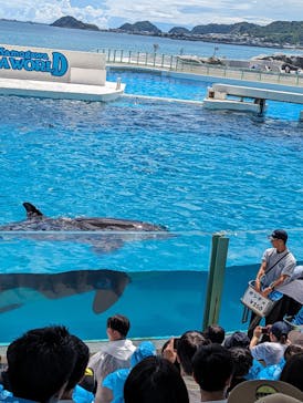 鴨川シーワールドに投稿された画像（2023/8/29）