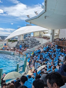 鴨川シーワールドに投稿された画像（2023/8/29）