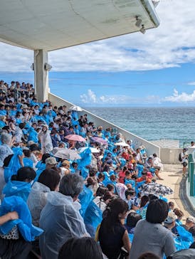 鴨川シーワールドに投稿された画像（2023/8/29）