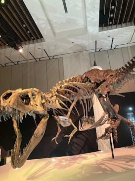 DinoScience 恐竜科学博 2023@TOKYO MIDTOWNに投稿された画像（2023/8/29）