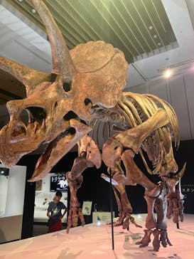 DinoScience 恐竜科学博 2023@TOKYO MIDTOWNに投稿された画像（2023/8/29）