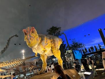 福井県立恐竜博物館に投稿された画像（2023/8/29）