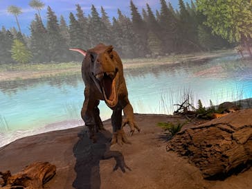 福井県立恐竜博物館に投稿された画像（2023/8/29）