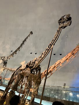 福井県立恐竜博物館に投稿された画像（2023/8/29）