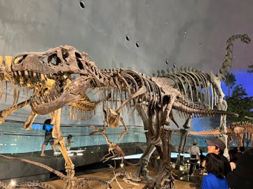 福井県立恐竜博物館に投稿された画像（2023/8/29）