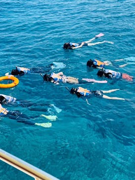 Sea World（シーワールド）に投稿された画像（2023/8/29）