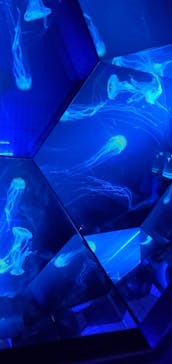 九十九島パールシーリゾートに投稿された画像（2023/8/29）