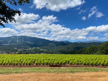 ひるがのピクニックガーデンに投稿された画像（2023/8/29）