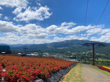 ひるがのピクニックガーデンに投稿された画像（2023/8/29）