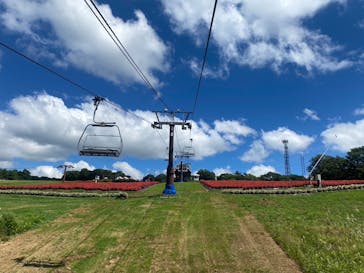 ひるがのピクニックガーデンに投稿された画像（2023/8/29）