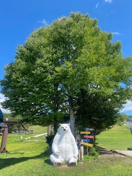 ひるがのピクニックガーデンに投稿された画像（2023/8/29）