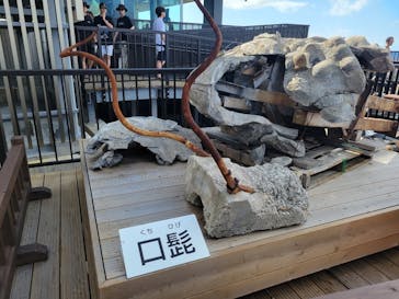 首里城公園 有料区域に投稿された画像（2023/8/29）