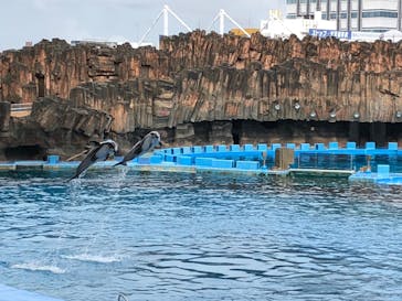 名古屋港水族館に投稿された画像（2023/8/29）