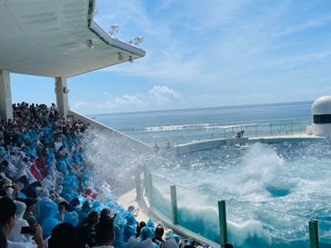 鴨川シーワールドに投稿された画像（2023/8/30）