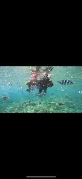 武藤潜水に投稿された画像（2023/8/30）