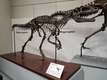 大阪市立自然史博物館に投稿された画像（2023/8/30）