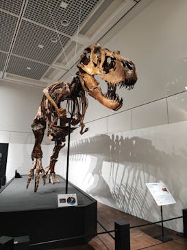 大阪市立自然史博物館に投稿された画像（2023/8/30）