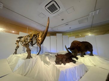 特別展「化石ハンター展 ～ゴビ砂漠の恐竜とヒマラヤの超大型獣～」に投稿された画像（2023/8/30）