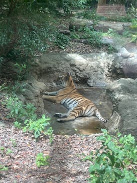 到津の森公園に投稿された画像（2023/8/30）