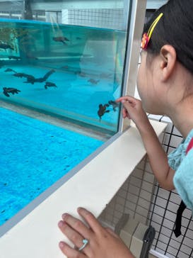 名古屋港水族館に投稿された画像（2023/8/30）