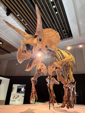 DinoScience 恐竜科学博 2023@TOKYO MIDTOWNに投稿された画像（2023/8/30）