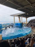 新江ノ島水族館に投稿された画像（2023/8/30）