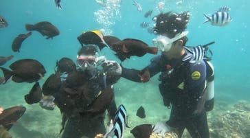 沖縄マリンサービス碧に投稿された画像（2023/8/30）