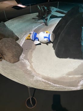 上越市立水族博物館 うみがたりに投稿された画像（2023/8/30）