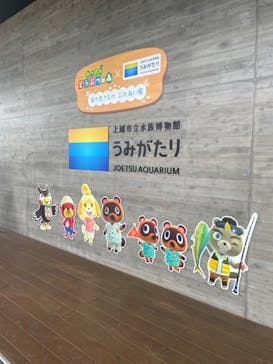 上越市立水族博物館 うみがたりに投稿された画像（2023/8/30）